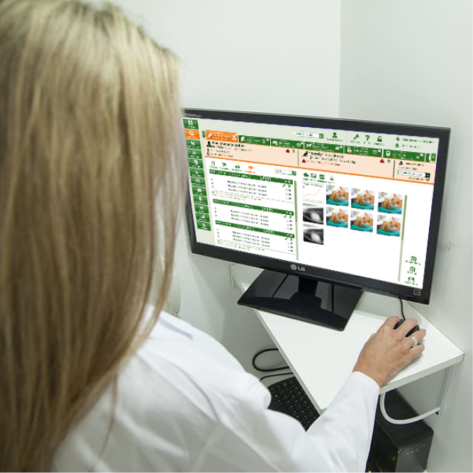 Person an Monitor, die die neue Praxisverwaltungssoftware bedient;