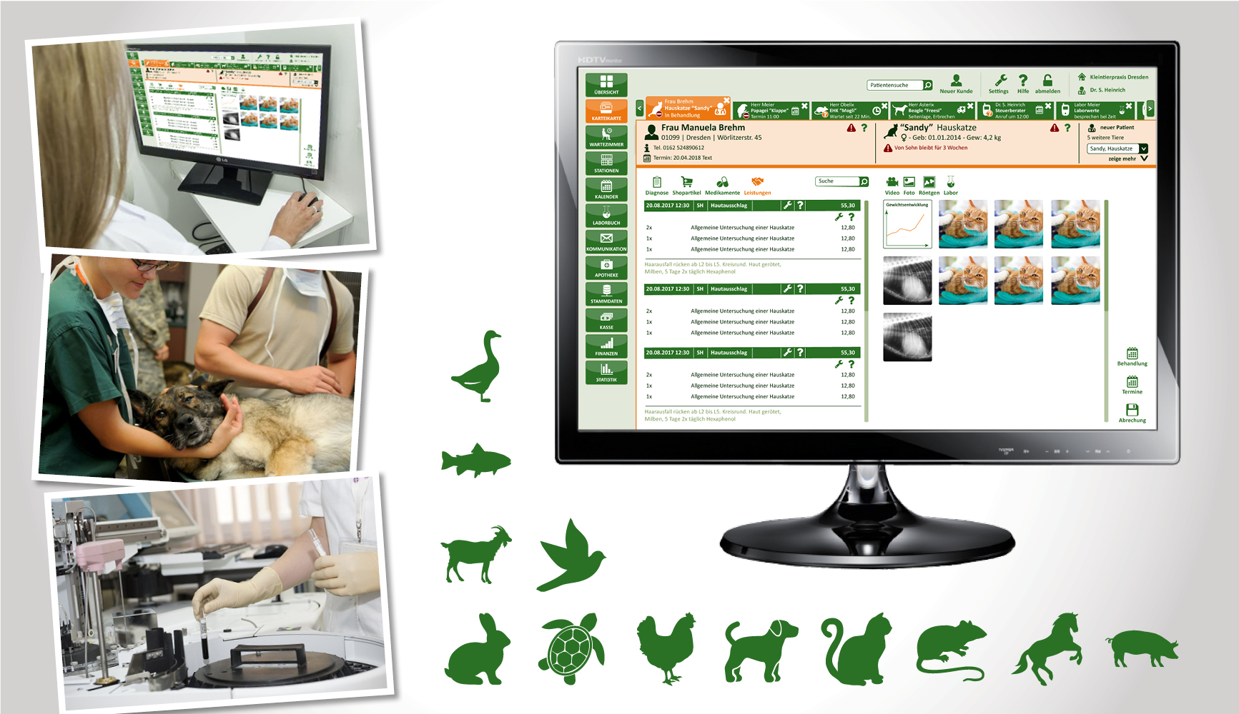 Arrangement von Bildern zur Branche Tiermedizin: Person an Monitor, die die neue Praxisverwaltungssoftware bedient; Praxisteam mit Hund vor oder nach Behandlung; Laborgeräte zur Analyse von Blut; ein Monitor mit der neuen Software; viele Icons von Nutz- und Haustieren.
